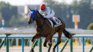 【京都1R】武豊ダイヤモンドが人気に応える