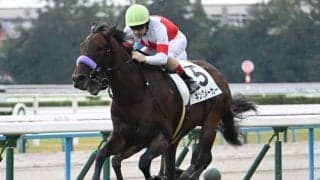 【京都5R新馬戦結果】スワーヴリチャード産駒キングメーカーが人気に応えて押し切りV