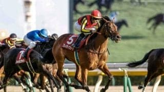 【マイルCS・馬体重】ブレイディヴェーグは468kg(-4)、ナミュールは464kg(+14)