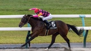 【グランアレグリアC】インビンシブルパパが逃げ切る…オープンいり