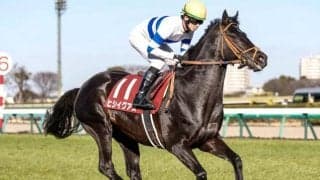 重賞3勝のヒシイグアスが登録抹消 中山競馬場で乗馬に