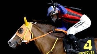 金沢のハクサンアマゾネスの引退式が決定 12月1日の中日杯がラストラン