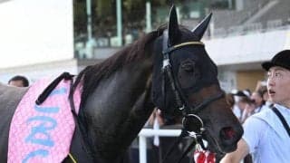 【京阪杯】ドロップオブライト、エイシンスポッターらが登録