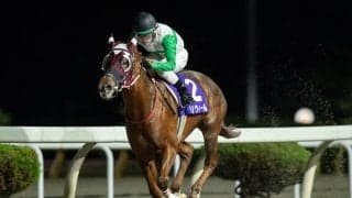 【水沢・南部駒賞】バリウィールが逃げ切りで3連勝…石川倭「馬が強かった」