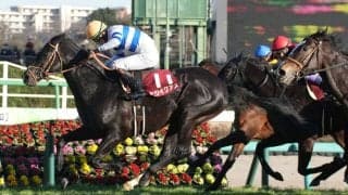 ヒシイグアスの競走馬登録抹消…乗馬に