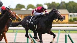 【京都2歳S登録馬】エリキングなど10頭