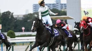 【マイルCS】売上は170億9823万5400円で昨年より約2.7億円減少