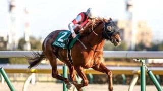 【京阪杯見どころ】ウインカーネリアンの久々の勝利なるか