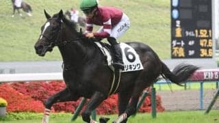 【京都2歳S見どころ】エリキングの無傷3連勝なるか