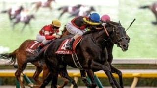 【東スポ杯2歳S】売上は29億1736万8700円で昨年より約7億円減少