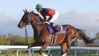 【浦和・浦和記念枠順】重賞連勝狙うディクテオンは7枠8番