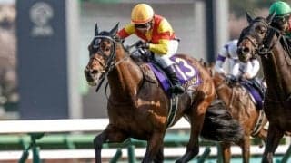 【先週のJRA抹消馬】無敗の皐月賞馬ジャスティンミラノ、昨年のJBCレディスC覇者アイコンテーラーなど
