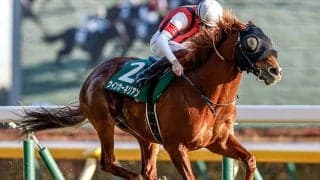 【京阪杯想定騎手】ウインカーネリアンは三浦皇成騎手、エイシンスポッターはH.ドイル騎手