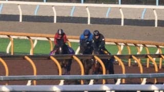 菊花賞馬アスクビクターモアの半妹 アークシャルダームが土曜京都で初陣/関西馬メイクデビュー情報
