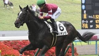 【京都2歳S想定騎手】エリキングは川田将雅騎手、サラコスティはC.デムーロ騎手