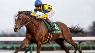 【AI予想・ジャパンC】豪華メンバー集結で例年以上の盛り上がり！ 人工知能は東京芝2400mでの実績を重視