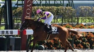 【園田・兵庫ジュニアグランプリ枠順】なでしこ賞快勝のコスモストームは8枠12番