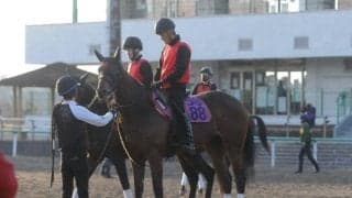 桜花賞馬ジュエラーの仔 オプレントジュエルが日曜東京で初陣/関東馬メイクデビュー情報