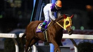 今年亡くなった笠松の名牝 「ラブミーチャン記念」を前に輝かしい蹄跡たどる