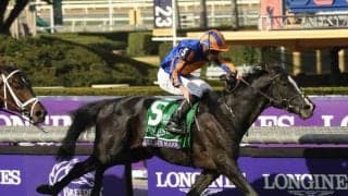 「来てくれてありがとう」 オーギュストロダンにファンから熱い思いの数々