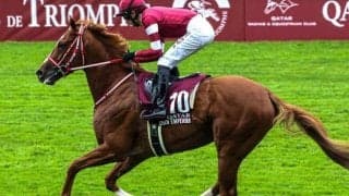 シンエンペラーにかかる意外な記録 フランス産馬が勝ったらジャパンC史上初