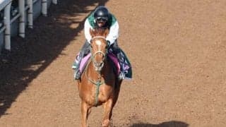 ジャルディニエなど、先週の入厩情報/栗東トレセンニュース