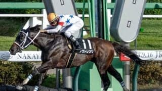 安田隆行元調教師が「浦和にピッタリ」と激押しの馬と、騎手采配に妙味!?/浦和記念注目馬