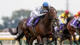 【ジャパンC予想オッズ】ドウデュースが予想1番人気