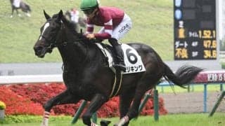 【京都2歳S予想オッズ】エリキングが予想1番人気