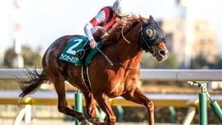 【京阪杯予想オッズ】ウインカーネリアンが予想1番人気