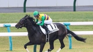 【新馬/京都6R】ナダル産駒 ヒルノハンブルクが人気に応える