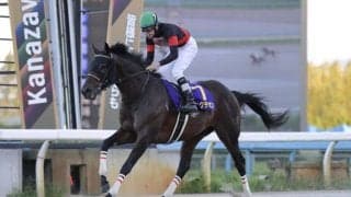 【浦和記念】ディクテオンは7枠8番へ