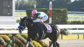 【ジャパンC展望】東京開催を締めくくる大一番、先行力上位のドゥレッツァに注目