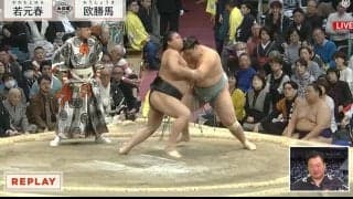 「そこはハワイですか？」大相撲中継解説者が“斜め上の角度すぎる衣装姿”で登場 ファン騒然「わんぱくやな」「普段着すぎるw」