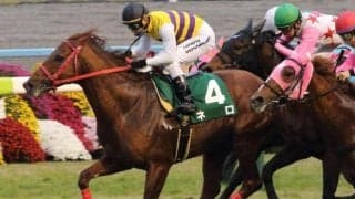 ジャパンカップの裏で荒れる重賞 過去10年で2度の100万超え馬券