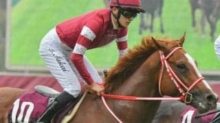 ジャパンCで世代交代を告げる劇的Vなるか 国内外の強豪相手にメンバー唯一の3歳牡馬が挑む