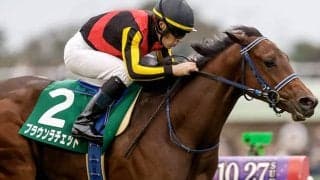 【阪神JF想定】ブラウンラチェット、米国馬メイデイレディなど20頭