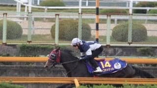 ペプチドナイル、チャンピオンズC1週前追い切り速報/栗東トレセンニュース