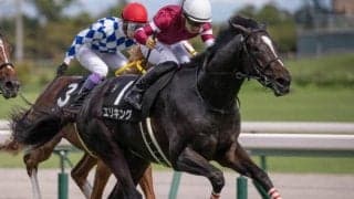 藤田晋オーナー所有の2.1億円馬 京都2歳Sでクラシックに弾みをつける“ゴラッソ”を決めるか