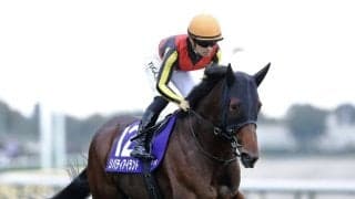 【香港国際競走】リバティアイランドなど9頭が受諾