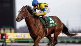 【ジャパンC予想】コース適性の高い実績馬が近年圧倒的 AIが挙げた妙味もありそうな一頭とは