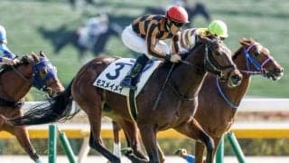 【京阪杯展望】時計が掛かり差し追い込みが決まりやすいレース