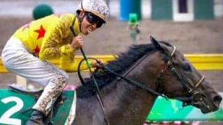 重賞3勝の実績を誇る8歳馬 ジャパンC史上初の記録に挑む