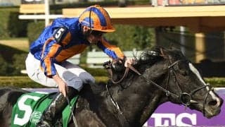 オーギュストロダンの引退式をジャパンカップ後に実施 JRAが発表