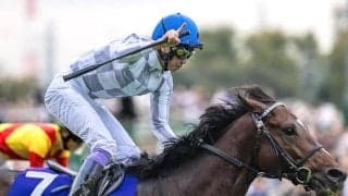 【ジャパンC枠順確定】ドウデュースは3枠3番、オーギュストロダンは5枠8番