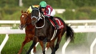 【園田・兵庫ジュニアグランプリ結果】ハッピーマンが重賞初制覇