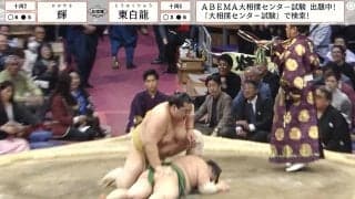 巨漢力士のビンタで“一撃”KO 「右フックだ」「重いの入った」倒れた力士はフラフラ