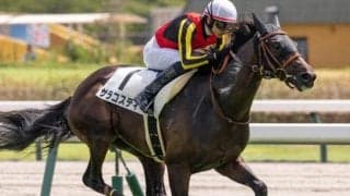 前走圧倒的な9馬身差V 良血馬がリベンジで重賞初制覇なるか