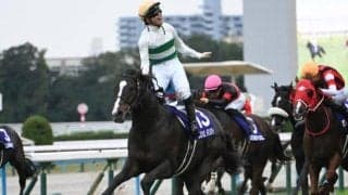 ガッツポーズと記憶の宮殿/島田明宏