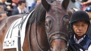 潜在能力高い勝率100％の3歳馬 武豊騎手と無傷3連勝へ